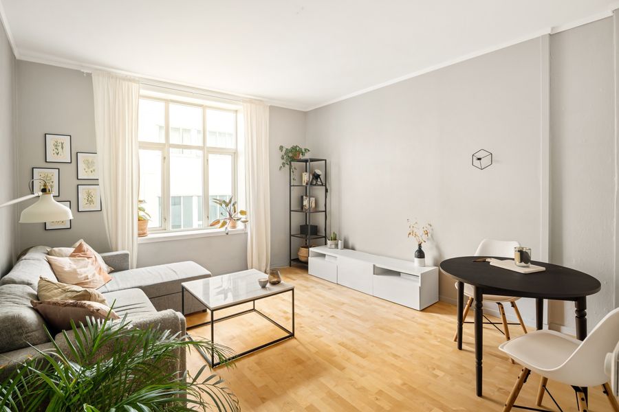 Bright Scandinavian living room